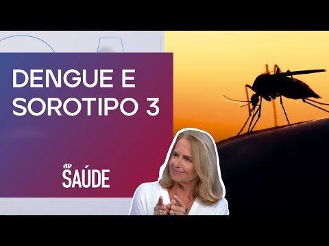 Temperatura e fortes chuvas têm impacto no aumento das arboviroses? | JP SAÚDE