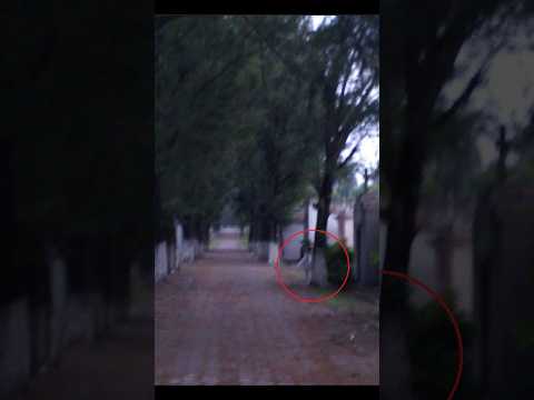 Encontramos la tumba de una supuesta Bruja! 👻🪦 #guatespantos #cementerio #paranormal