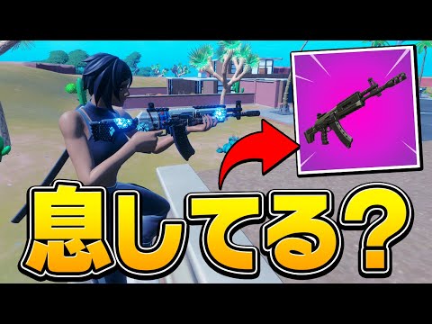 「最強じゃない方」のアサルトライフルってどうなん？もしかして息してない…？【フォートナイト/Fortnite】