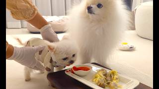 動画サムネイル