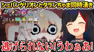 シュバンゲリオンとタランちゃまに潰されてしまうミオしゃw【大神ミオ ホロライブ】