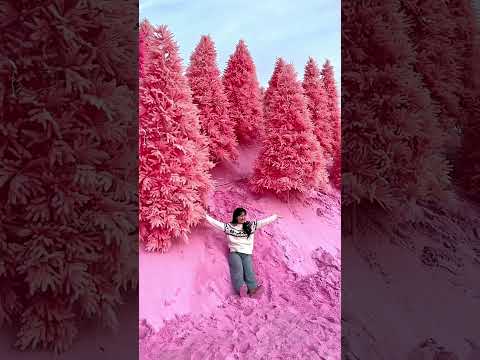 Explore the World's Most Beautiful Places 💞🌍 #travel #nature #shorts #youtube