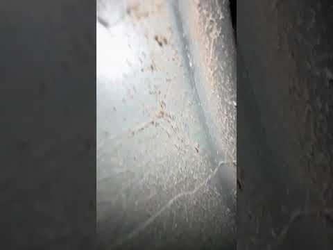 Jobs with Tito:🔥Furnace Inspection Findings