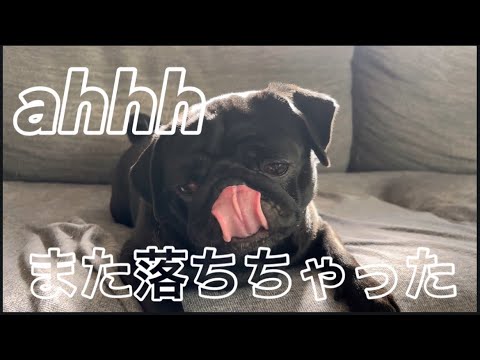 一生懸命に遊んだ結果… サムネイル