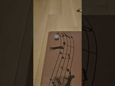 ボール君に「待て」してた可愛い猫