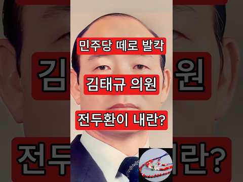 민주당 <strong>우루루</strong> 발칵. 김태규 의원, 전두환이 내란이라고?