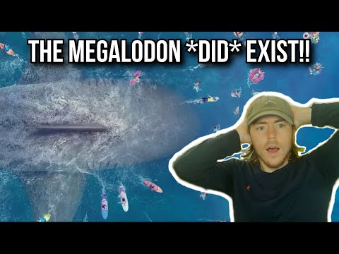 This Megalodon Video LEGITIMATELY Taught Me Things Original Video_ https_//www.youtube.com/watch?v=oHV9wksLygc

Support Me Directly_ https_//www.patreo
