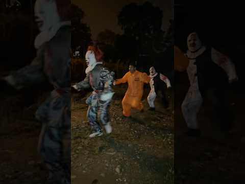 Paloma Blanca 🕊️