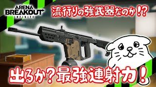 【#75】使用率急上昇中⁉連射力No.1武器と過去最高の防具でテレビ局に行ってくるよ‼️【PC版アリーナブレイクアウト】