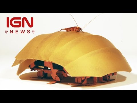 Meet the Robotic Cockroach that Could Save Your Life - IGN News - UCKy1dAqELo0zrOtPkf0eTMw