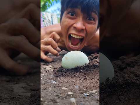 Street dance, Setting up duck eggs to attract millipedes to watch the greatest dance #shortvideo