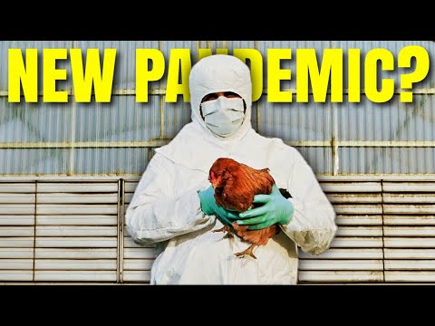 Is a Bird Flu PANDEMIC on the Way? - Bubba the Love Sponge® Show | 4/4/24
