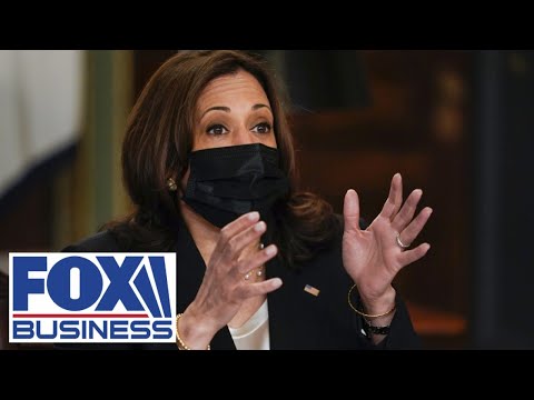 Harris would learn crisis is due to Biden policy if she just went to border: Senator Harris would learn crisis is due to Biden policy if she just went to border: Senator