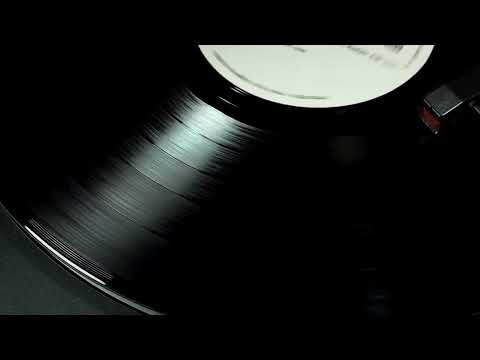 Arilena ARA - Shaj  COVER Anngel ( Prod by Festi Production )