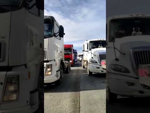 Hundreds of trucks line up to protest new law that could curb salmon farming in Chile
