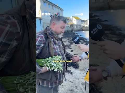 the scilliest billy on the Isles of scilly 👑✨ #RoguePromises #GregJames #IslesOfScilly