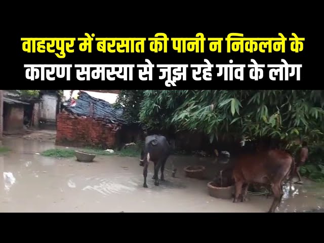 वाहरपुर में बरसात की पानी न निकलने के कारण समस्या से जूझ रहे गांव के लोग | Indian Tv News

#VarahpurNews 📰 #BreakingHeadlines 🔥 #LocalUpdates 📍 #CommunityEvents 🎉 #CurrentAffairs ⚖️ #TopStories 📈 #RegionalNews 🗺️ #NewsAlerts 🔔 #StayInformed 💡#JournalismAtItsBest 👨‍💻🏆