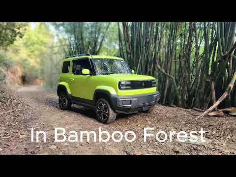 BaoJun Bamboo Forest