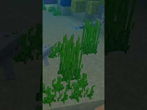Minecraft dolphin