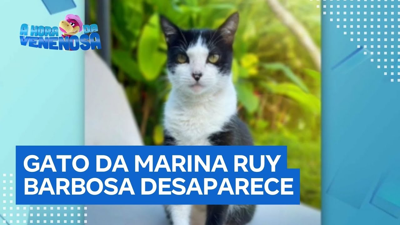Marina Ruy Barbosa faz apelo na web após desaparecimento do gato