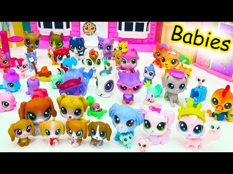 Littlest Pet Shop Dog, Cat, Animal Family Mom, Dad & Baby LPS Haul - Cookie Swirl C - UCelMeixAOTs2OQAAi9wU8-g