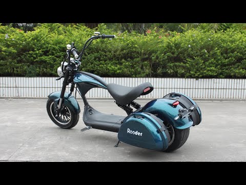 225 km Max Range Rooder Harley Electric Scooter Citycoco Chopper with Saddle Case