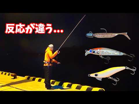今日のメバル、何が正解？いろいろ試した結果…