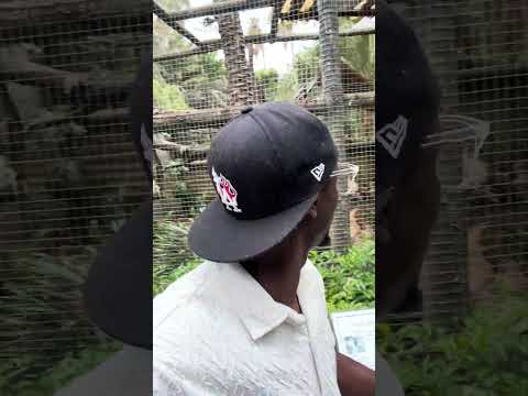 Gustavo takes a selfie with a monkey