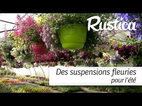 De belles suspensions pour l été