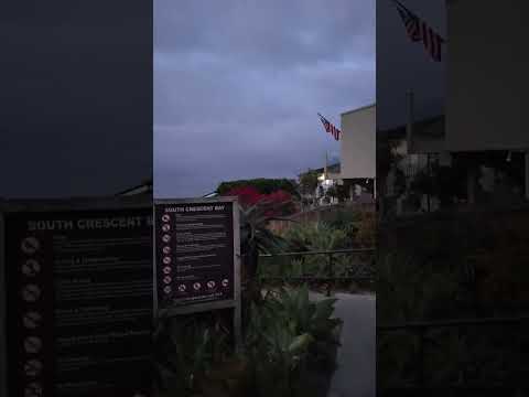 First ever family beach day