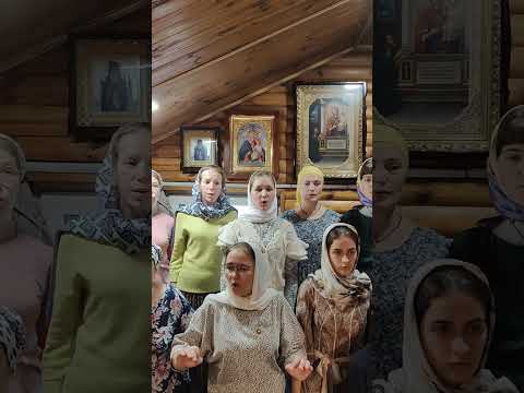 Величание всем святым #клірос #хор_радуйся #упц