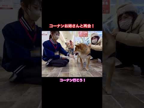 【柴犬】コーナン行こう！お姉さん