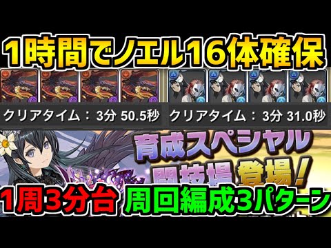 育成スペシャル闘技場 編成追加解説3パターン！やっぱノエル美味しすぎるｗｗｗ【パズドラ】
