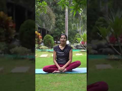 What is Hatha and Vinyasa Yoga