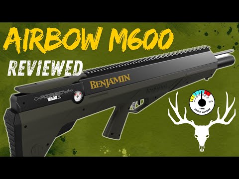 YOU HAVE TO SEE THIS! Benjamin Airbow M600 To Much Power?