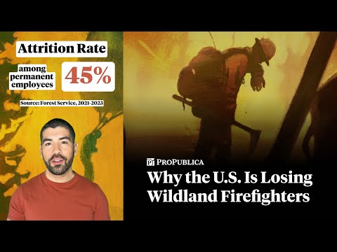 As Wildfires Increase, the U.S. Is Losing More Wildland Firefighters
Than Ever