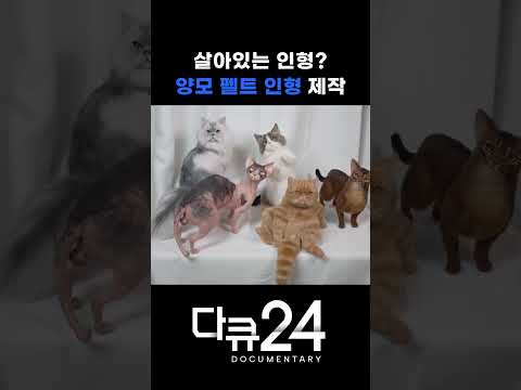 살아있는 인형? 양모 펠트 인형 제작 | 다큐24 / YTN