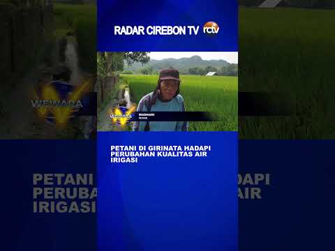 Petani di Girinata Hadapi Perubahan Kualitas Air Irigasi