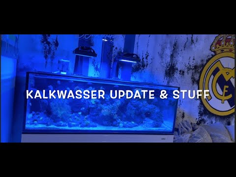 (What Not To Do) Kalkwasser Update In The Innovati Hey guys check out what I have done with kalkwasser in my tank.

I am not sponsored by any company b
