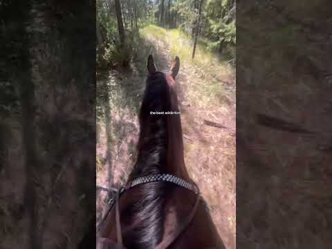 Best addiction❤️ #blowup #horse #rodeolife #rodeo #barrelhorse #barrelracing #barrelracer #fyppppp￼