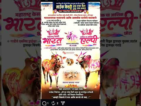 हिंदकेसरी भारत आणि L P \ फायनल व गुलालाचे मानकरी | #बकासुर #cow #baliraja #naadekachbailgadasharyat