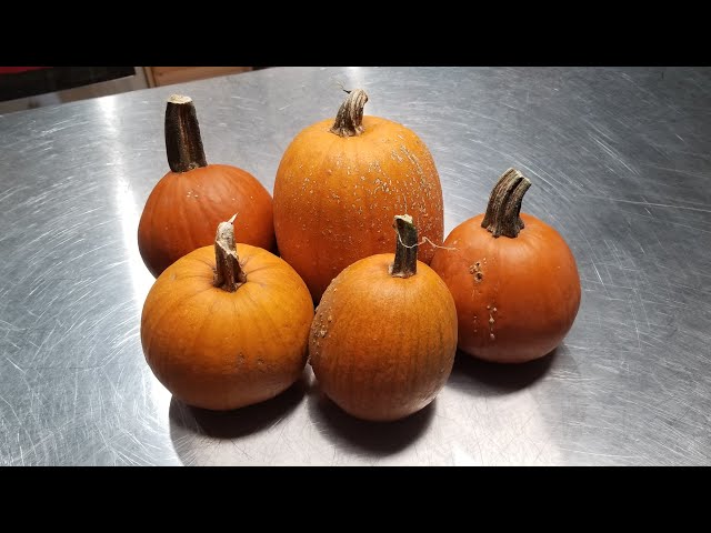 How to Preserve Pumpkin Puree