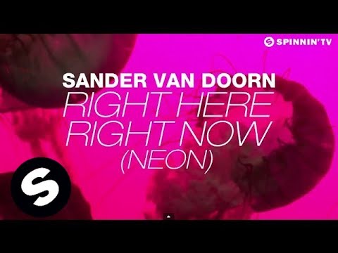 Sander van Doorn - Right Here Right Now (Neon) [Lyric Video] - UCpDJl2EmP7Oh90Vylx0dZtA