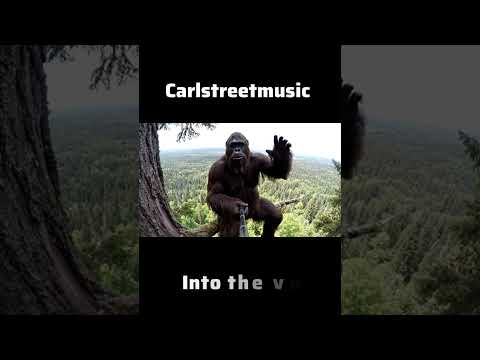 Bigfoot knows #bigfoot #album #instagood #vlog