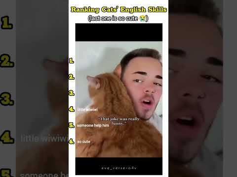 #catshorts #trendingshorts #viralcats #cuteanimal #petlover #funnyanimals #memes #ranking #fypage