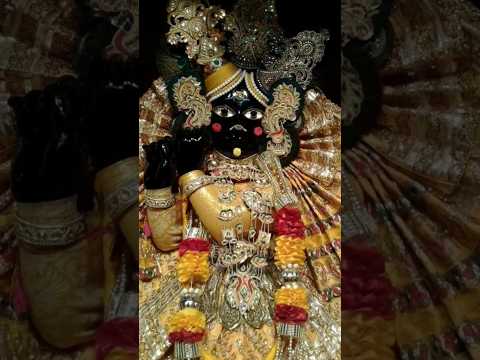 बोलो वृंदावन श्री बांकेबिहारी लाल की जय 🙏🙌🙏🙌#bankebihari#treanding #ytshaorts #virdavan #viral