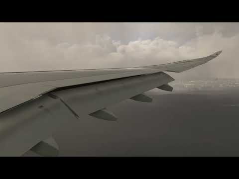 Airbus A330 lands at Frankfurt [Wing View]