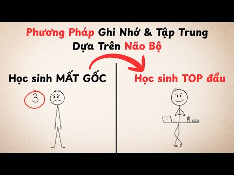 Phương Pháp Học Giúp Bạn Điểm Cao Mà Vẫn Chill Như Không