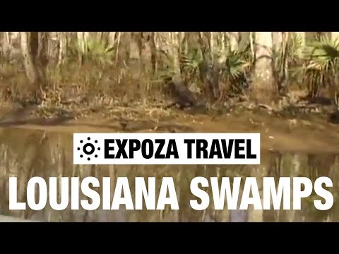 Louisiana Swamps (USA) Vacation Travel Video Guide - UC3o_gaqvLoPSRVMc2GmkDrg