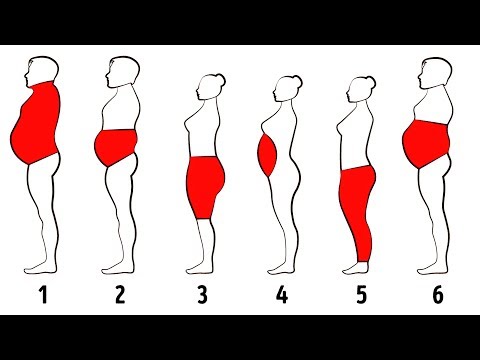 6 Types of Body Fat and How to Get Rid of It - UC4rlAVgAK0SGk-yTfe48Qpw